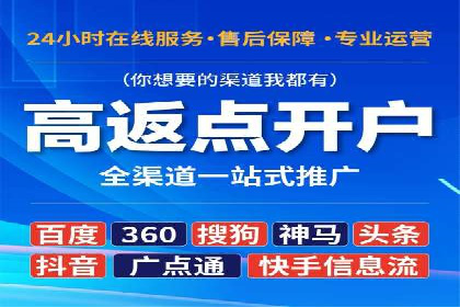 百度竞价代理的投放策略及某行业成功案例